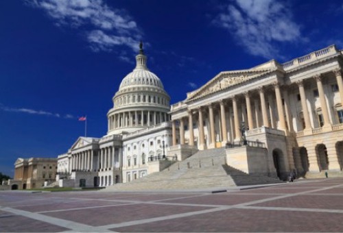 Government Services Government Services